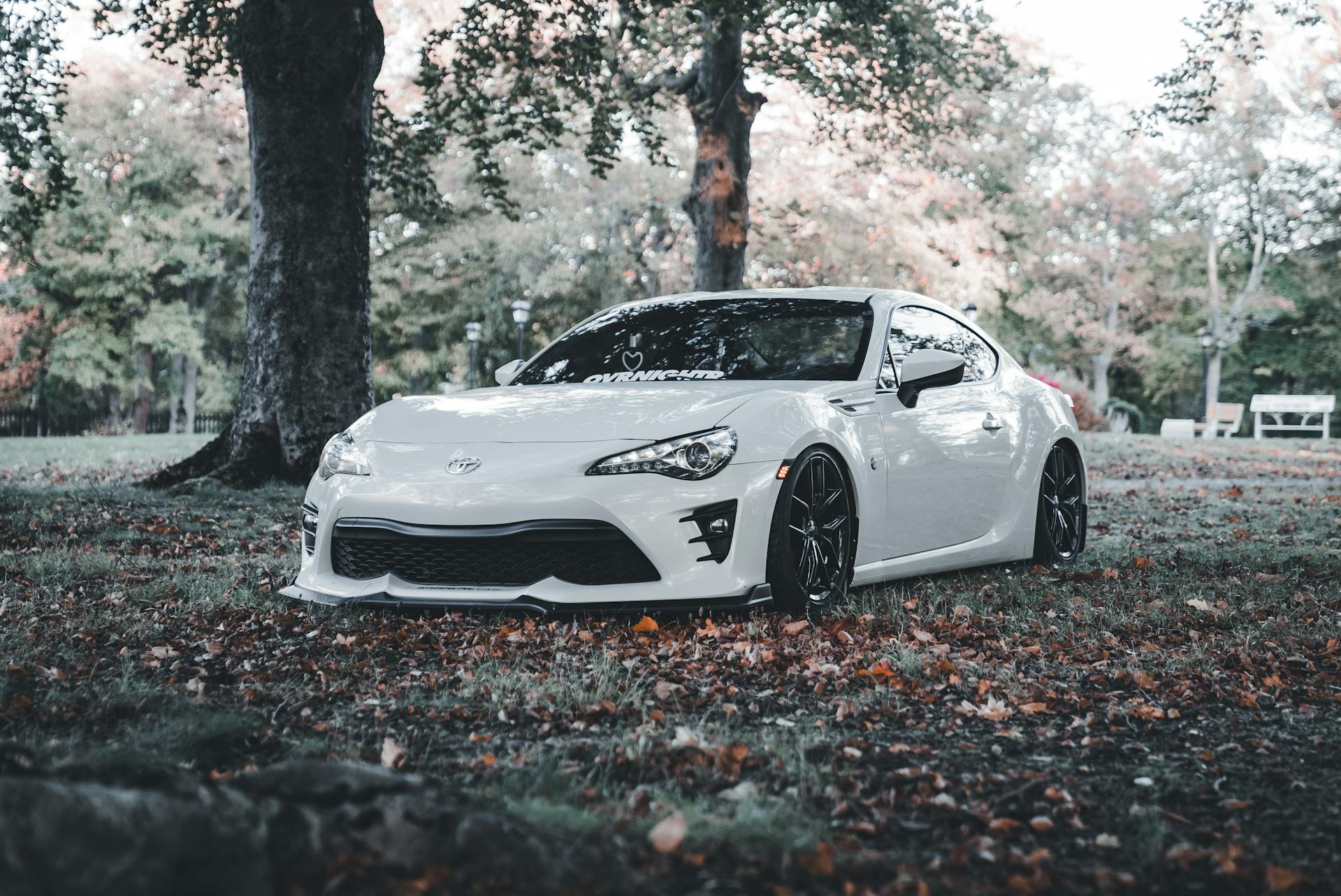 Car Care Tool Store -Car Care Tool Store pexels introspectivedsgn 28967025